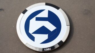 Meme Coin Kabosu Captivates Community