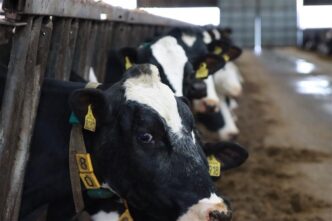 New Blockchain and Cryptocurrency Course to Empower Scotland’s Dairy Businesses