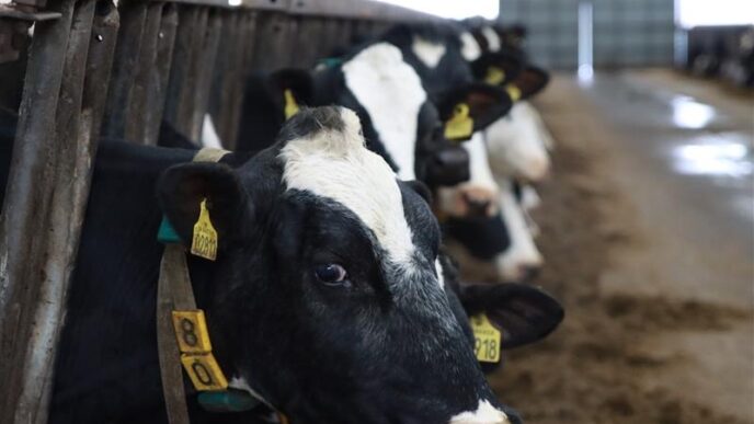New Blockchain and Cryptocurrency Course to Empower Scotland’s Dairy Businesses