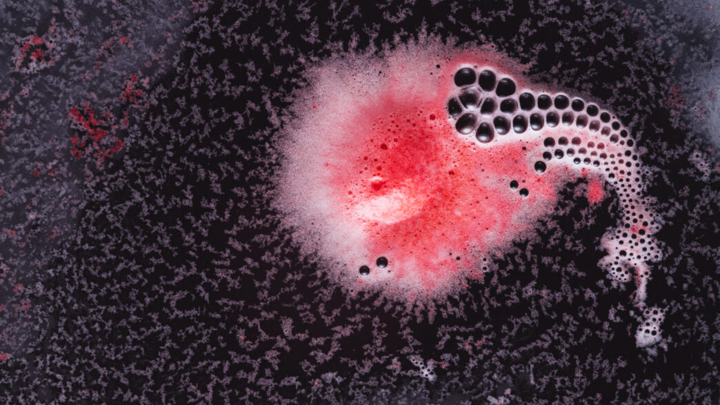Superbug fungus candida auris