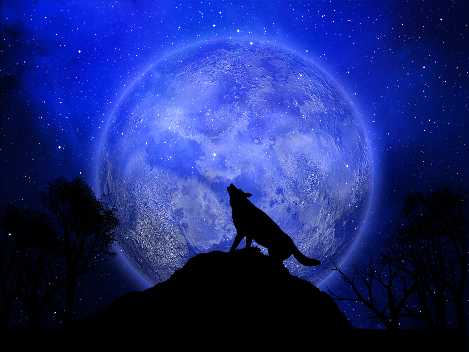 Makna Spiritual Wolf Supermoon, Apa yang Diungkapkan Bulan Purnama Pertama Tahun Ini Tentang Kehidupan Batin Anda