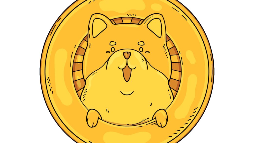 Meme Coin Pump and Dumps