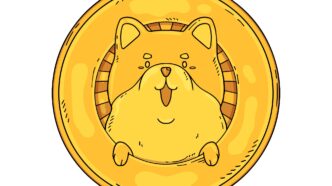Meme Coin Pump and Dumps