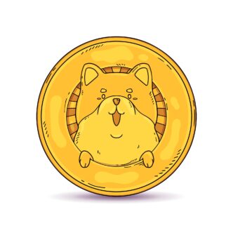 Meme Coin Pump and Dumps