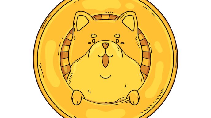 Meme Coin Pump and Dumps