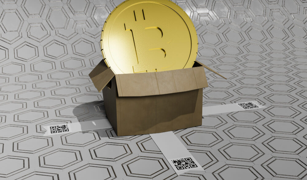 bitcoin block reward winner