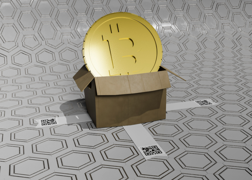 bitcoin block reward winner