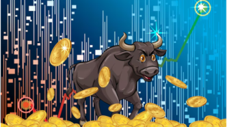 Next Crypto Bull Run