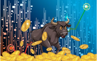 Next Crypto Bull Run