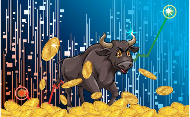 Next Crypto Bull Run